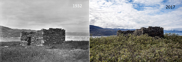 Figure 3 Arctic archaeological sites are ‘hotspots’ for vegetation, due to the increased amount of plant nutrients they contain. Root damage and overgrowth occurs at many of the inland sites in Greenland. Comparison of photos of the same site from 1932 (at left) and 2017 (at right) shows a clear increase in the presence of Northern willow (S. glauca) at the famous Norse site Ujarassuit (Anavik). (1932 photo: Roussel, National Museum of Denmark and 2017 photo: Roberto Fortuna, National Museum of Denmark).